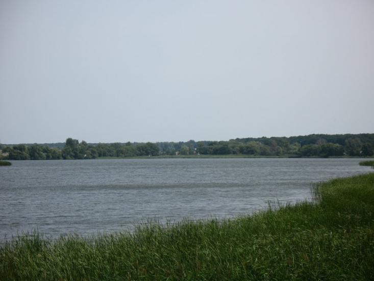 Ружин з panoramio.com - Ружин