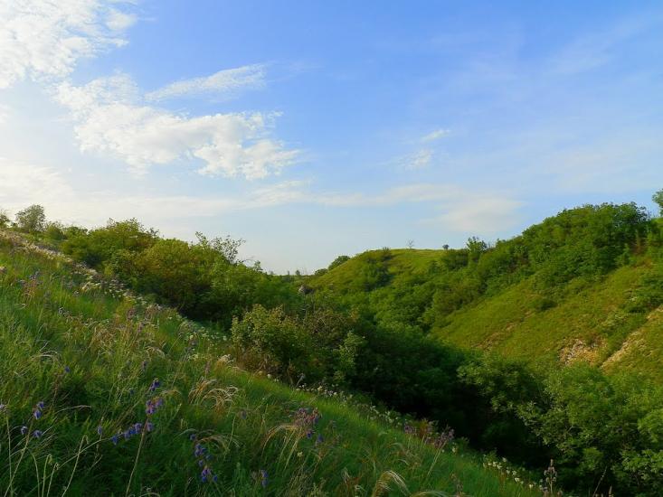 Біле з panoramio.com - Bile