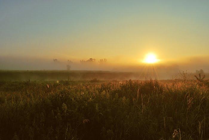 Синичине з panoramio.com - Синичине