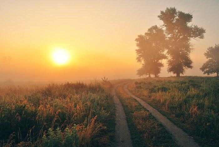 Синичине з panoramio.com - Синичине
