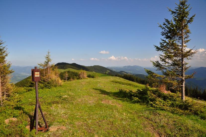Кривопілля з panoramio.com - Kryvopillya