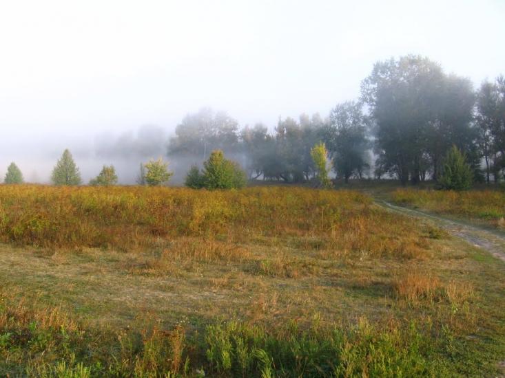 Пискунівка з panoramio.com - Pyskunivka