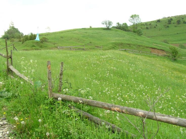 Ясениця-Замкова з panoramio.com - Ясеница-Замковая