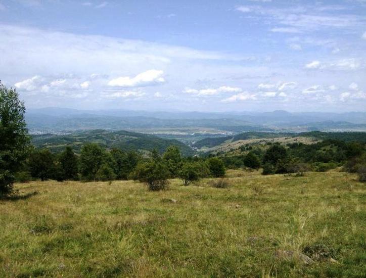 Грушово з panoramio.com - Грушово