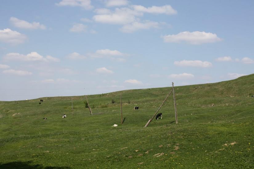 Пашківці з panoramio.com - Пашковцы