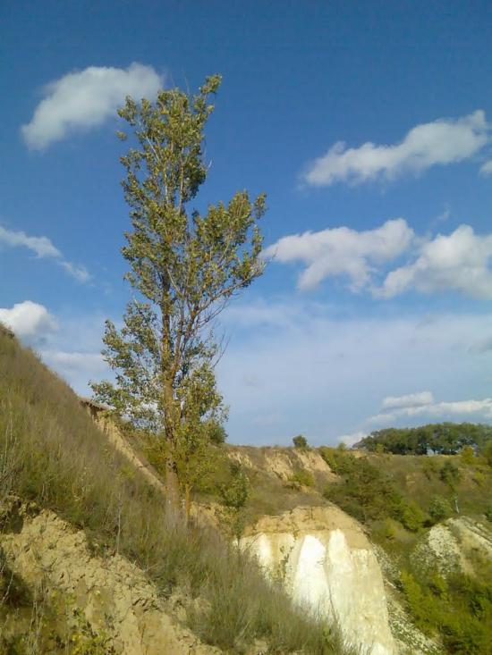 Гірки з panoramio.com - Girky
