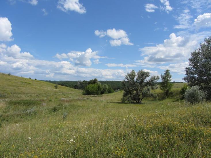 Попівка з panoramio.com - Попівка
