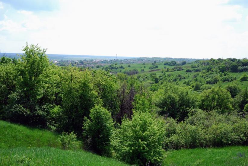 Краснокутськ з panoramio.com - Краснокутск