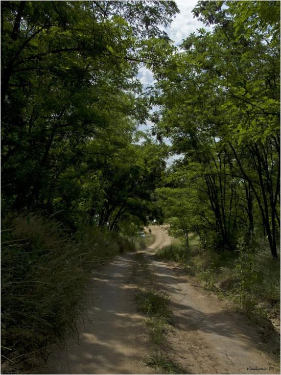 Балахівка з panoramio.com - Балаховка