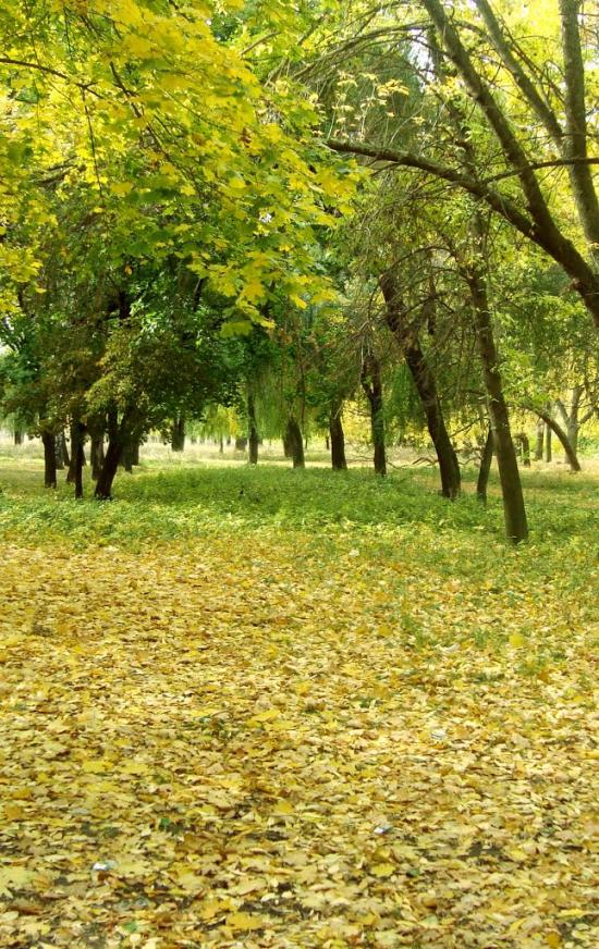 Луганське з panoramio.com - Луганське