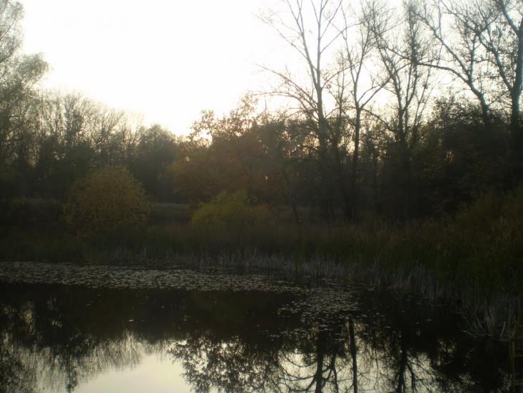 Кобеляки з panoramio.com - Кобеляки