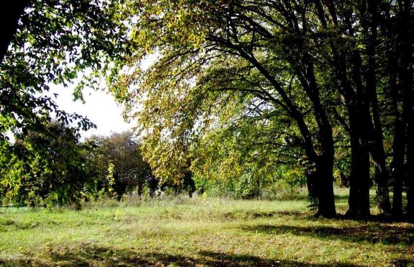 Думени з panoramio.com - Думены