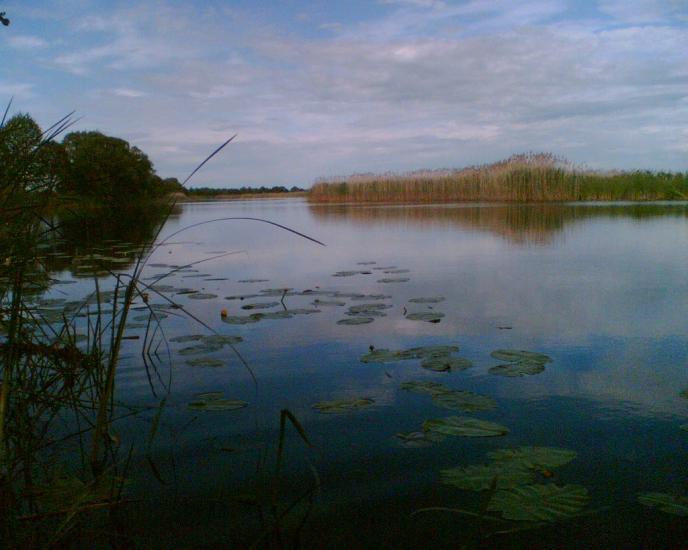Любитове з panoramio.com - Любитове