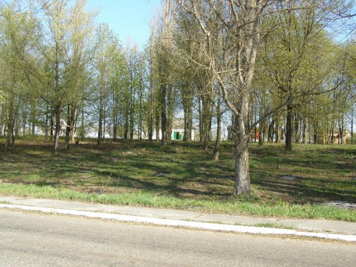 Пінчуки з panoramio.com - Пинчуки