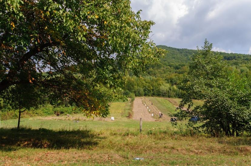 Кострина з panoramio.com - Кострина