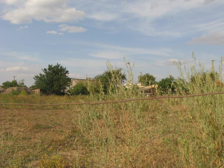 Софіївка з panoramio.com - Софиевка