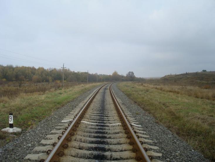 Вільхівчик з panoramio.com - Ольховчик