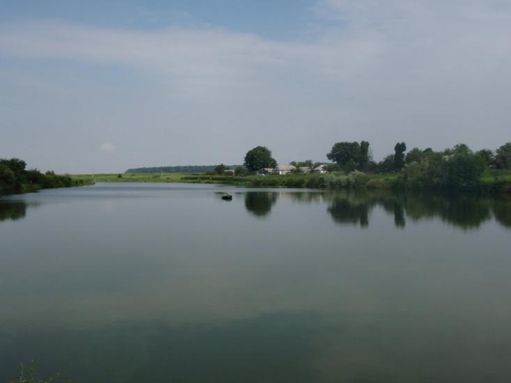 Лісоводи з panoramio.com - Лісоводи