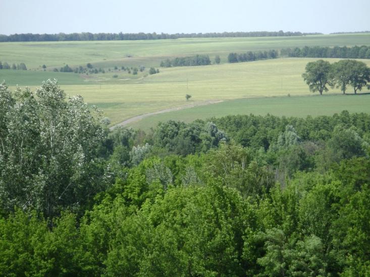 Брагинці з panoramio.com - Брагинцы