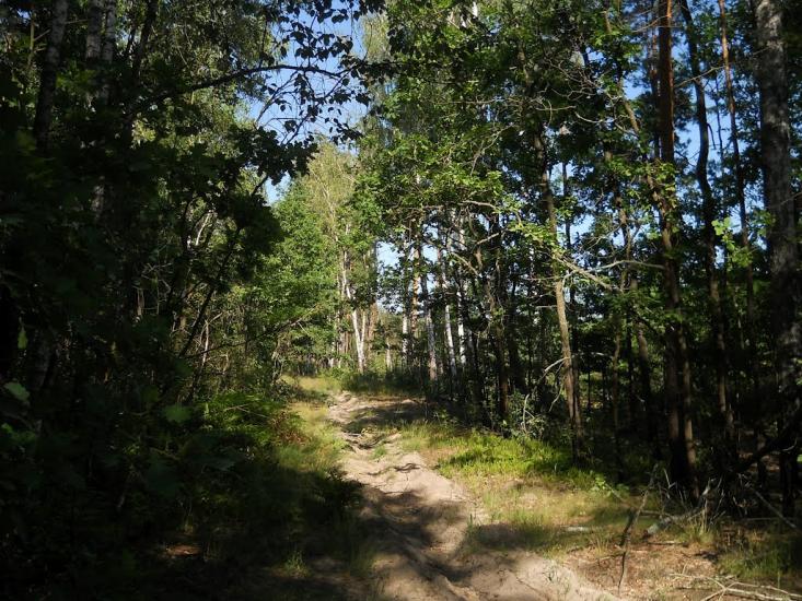 Струмок з panoramio.com - Струмок
