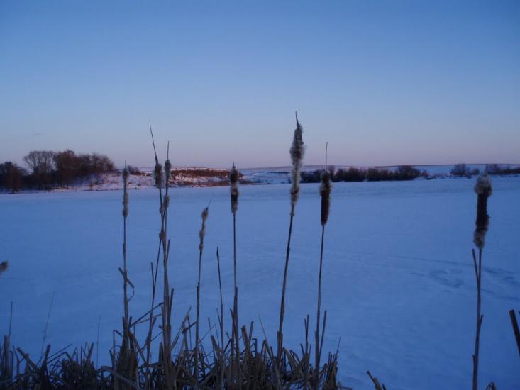 Рогізне з panoramio.com - Рогозное