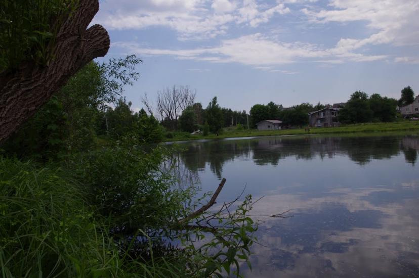 Блиставиця з panoramio.com - Блиставиця