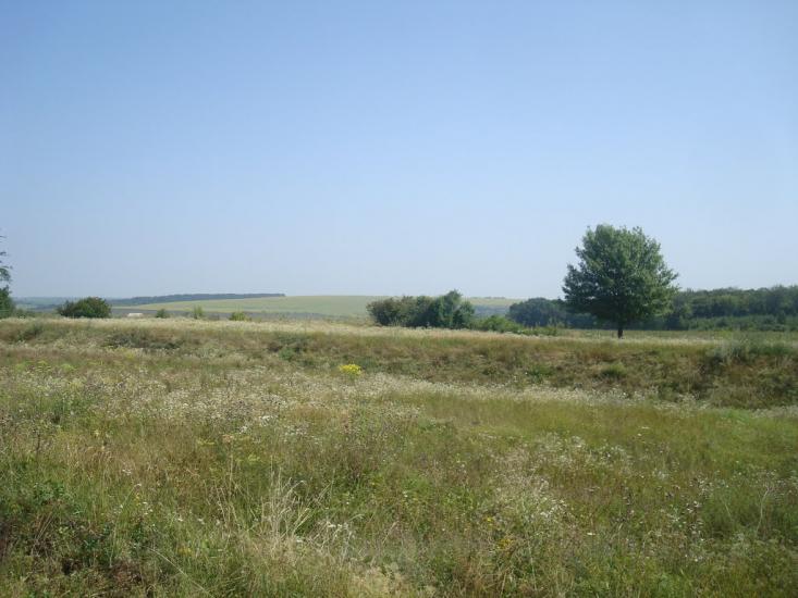 Тарасівка з panoramio.com - Тарасовка