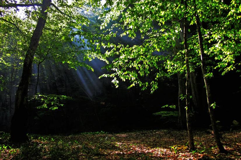 Хотімля з panoramio.com - Khotimlya