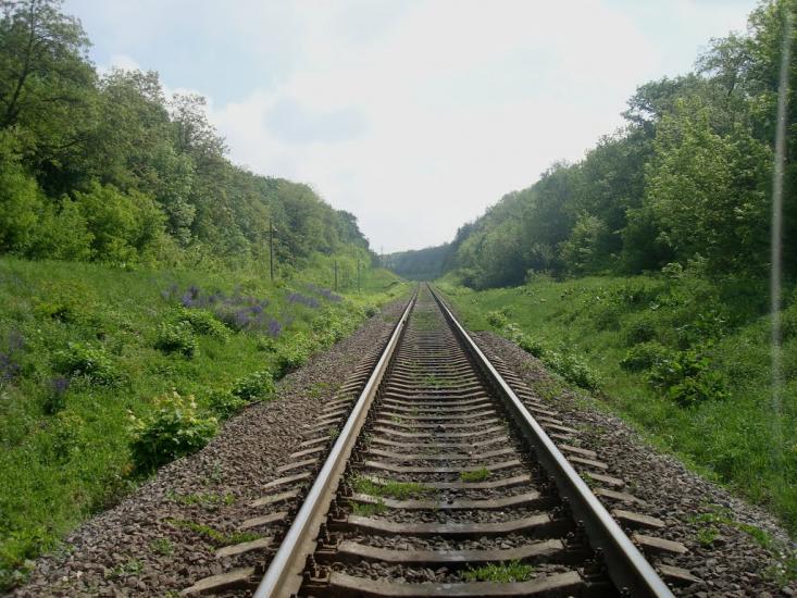 Нестерівці з panoramio.com - Нестерівці