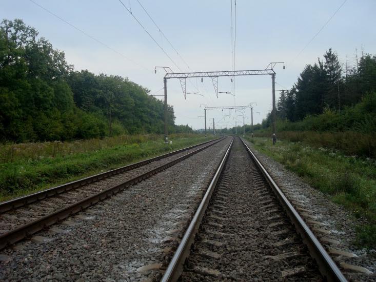 Стригани з panoramio.com - Стриганы