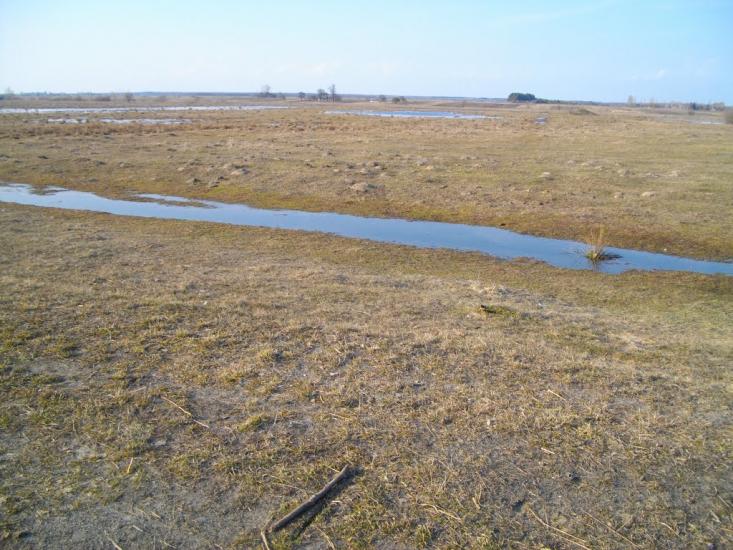 Озеро з panoramio.com - Озеро