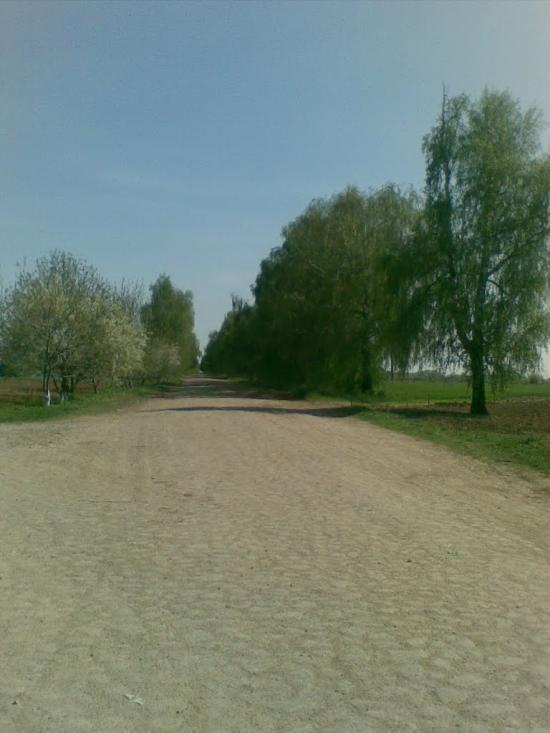 Ковалівка з panoramio.com - Ковалівка