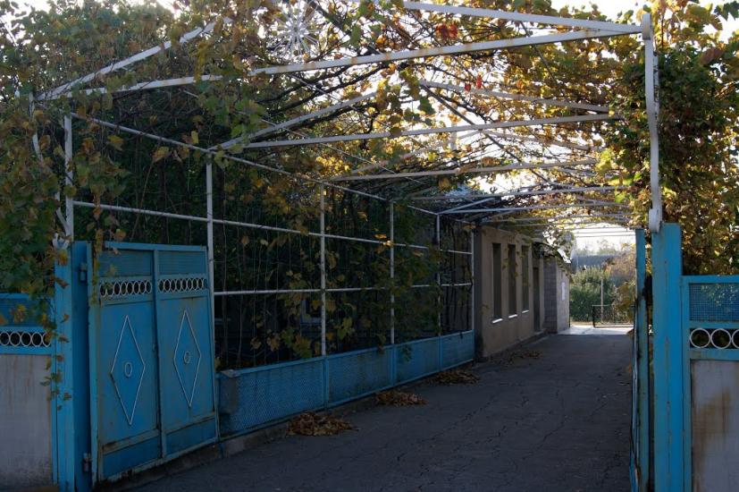 Куйбишеве з panoramio.com - Kuybisheva