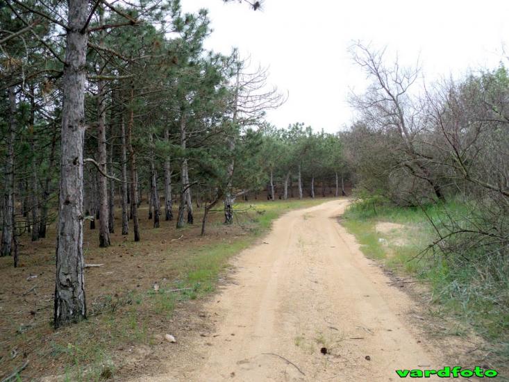 Пісочне з panoramio.com - Пісочне