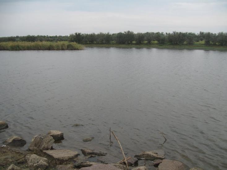 Миронівка з panoramio.com - Миронівка