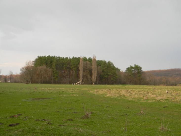 Івангород з panoramio.com - Ивангород