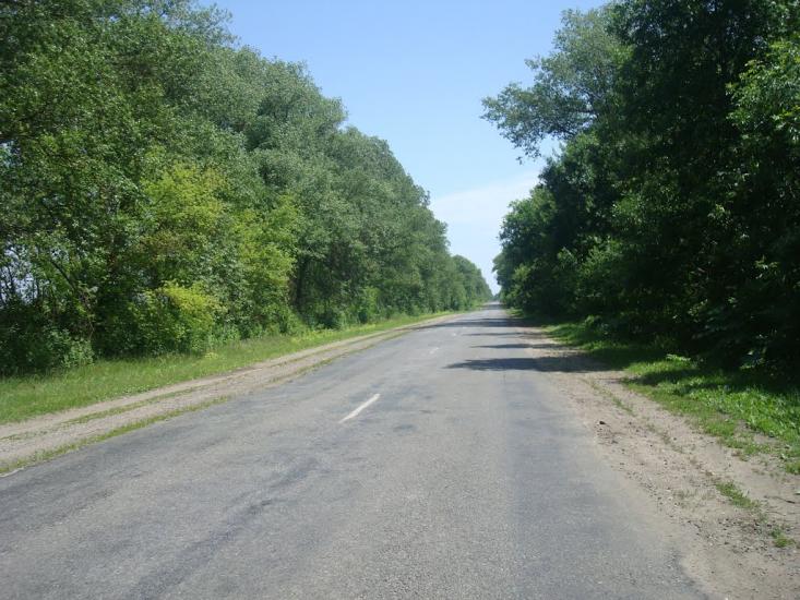 Грузевиця з panoramio.com - Gruzevytsya
