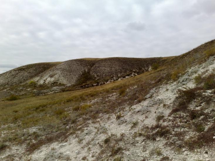 Білокузьминівка з panoramio.com - Білокузьминівка