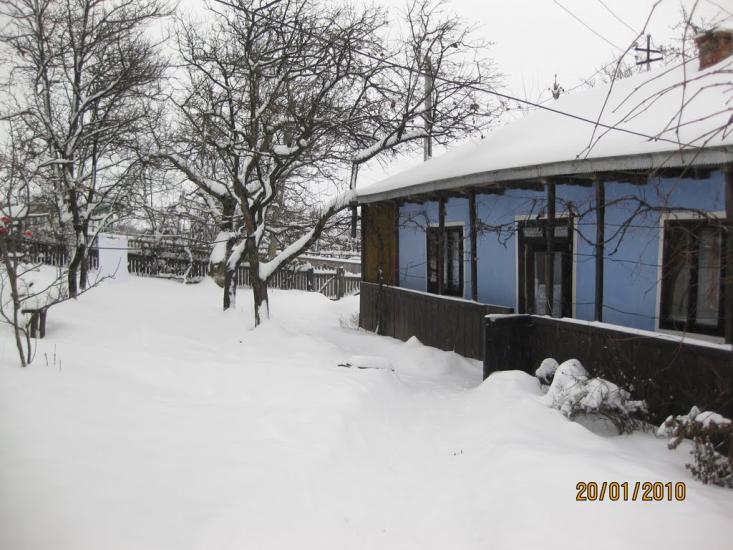 Ванчиківці з panoramio.com - Ванчиковцы