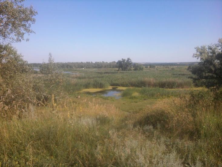 Червоний Донець з panoramio.com - Червоный Донец