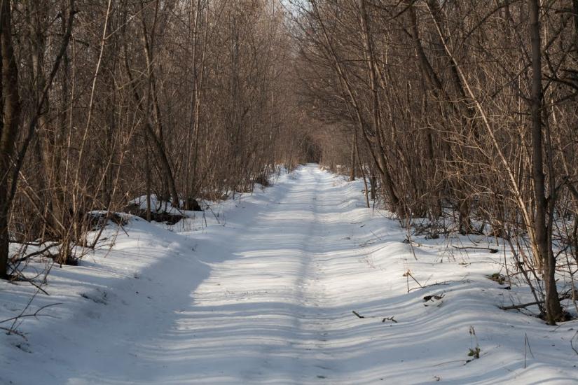 Коврай з panoramio.com - Kovray