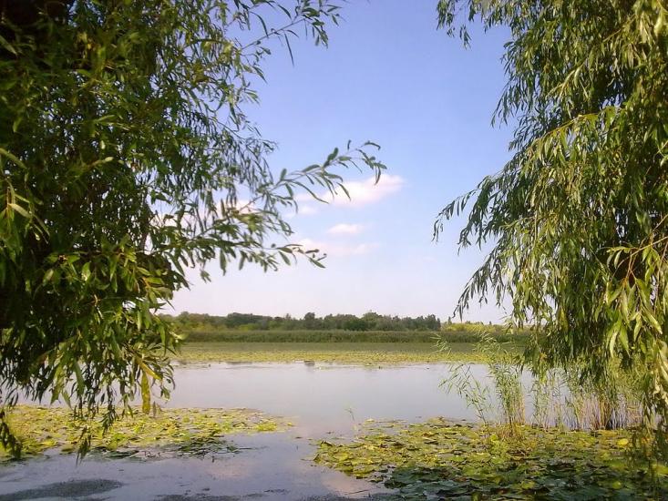 Кринки з panoramio.com - Кринки