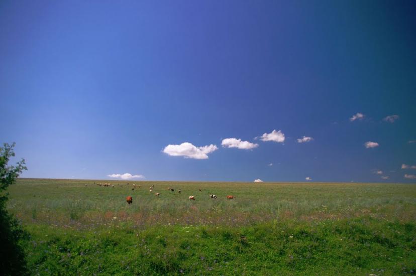 Браїлівка з panoramio.com - Брайловка