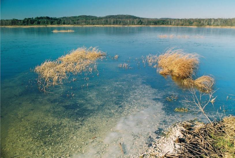 Івано-Франкове з panoramio.com - Ivano-Frankove
