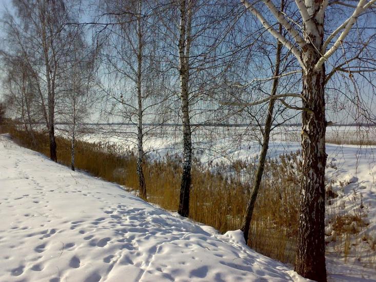 Камінь-Каширський з panoramio.com - Камінь-Каширський