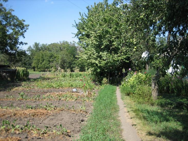 Велика Бурімка з panoramio.com - Великая Буромка