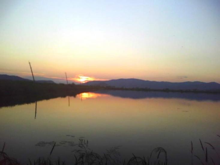 Боронява з panoramio.com - Боронява