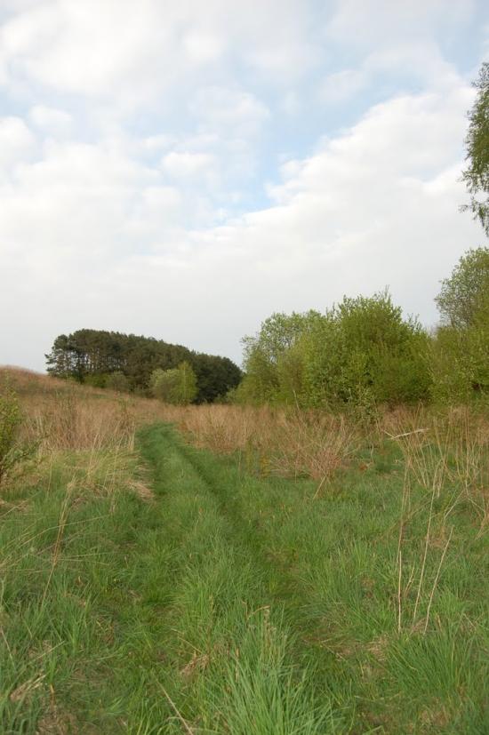 Рогізне з panoramio.com - Рогозное
