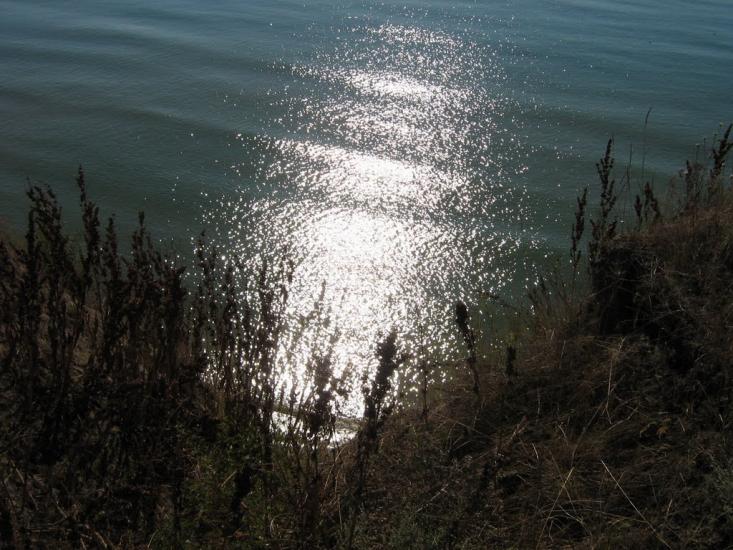 Курортне з panoramio.com - Курортне