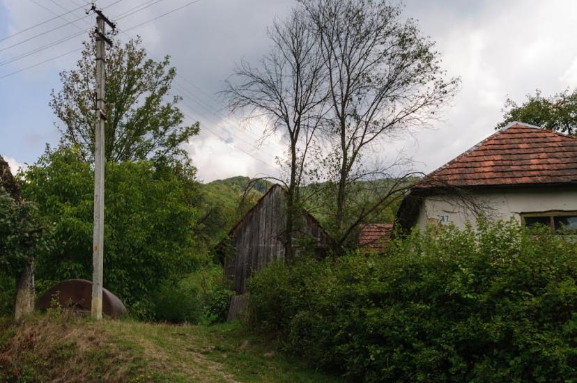 Кострина з panoramio.com - Кострина